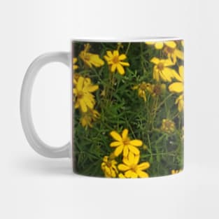 Yellow Green Bloom Photography My Mug